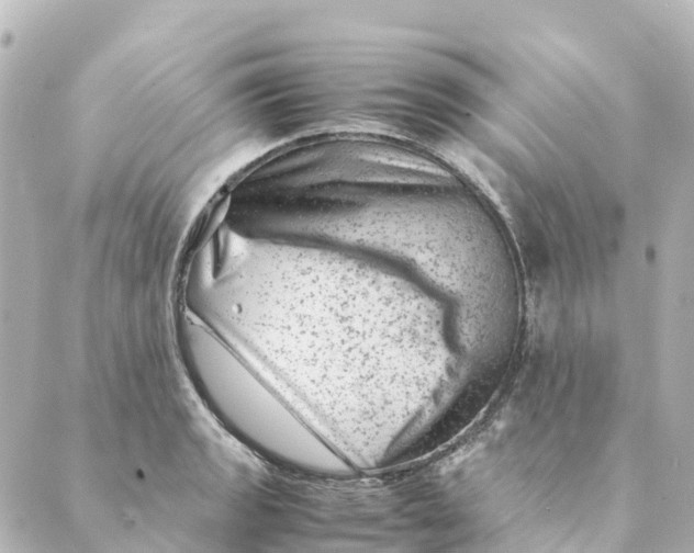 X0000088601133200706221359