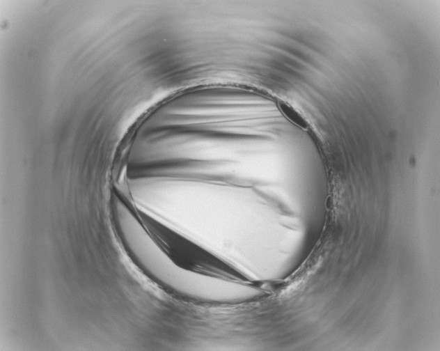 X0000088601134200706221359