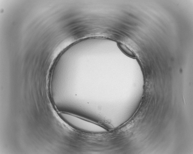 X0000088601135200706221359