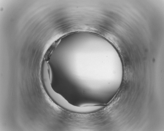 X0000088601136200706221359