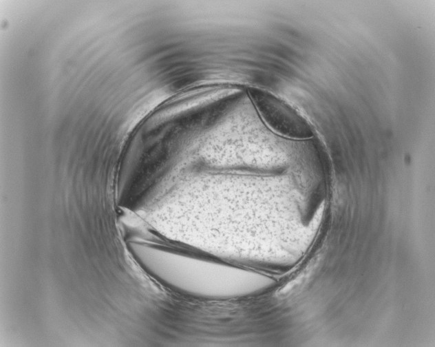 X0000088601137200706221359