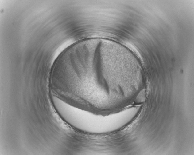 X0000088601138200706221359