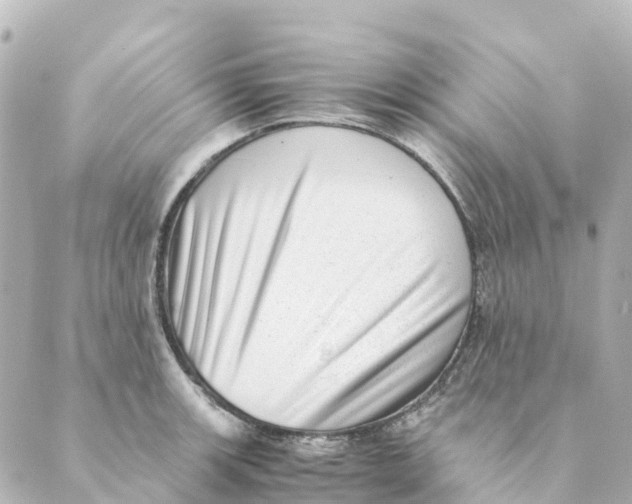 X0000088601139200706221359