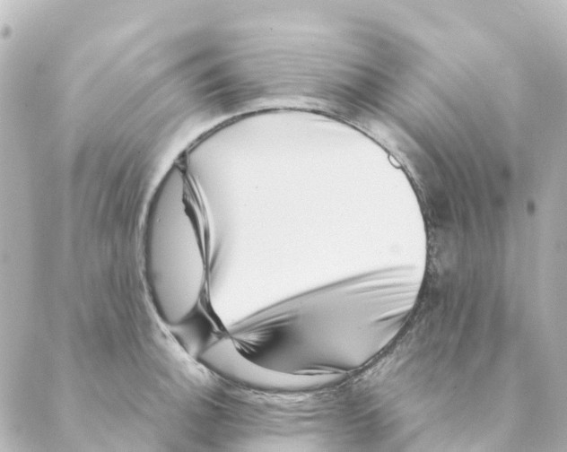 X0000088601140200706221359