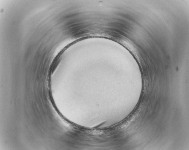 X0000088601141200706221359