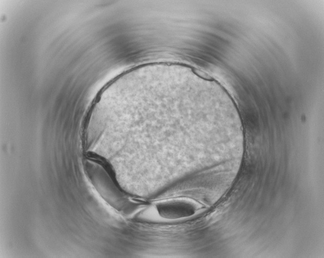 X0000088601142200706221359