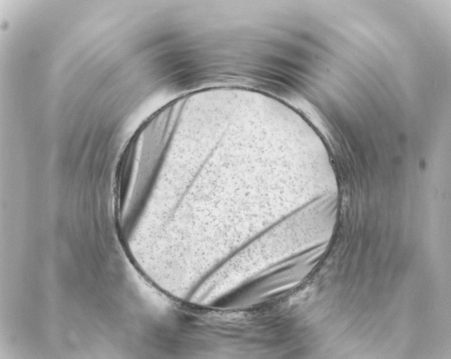 X0000088601143200706221359