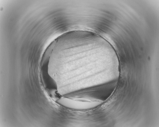 X0000088601144200706221359