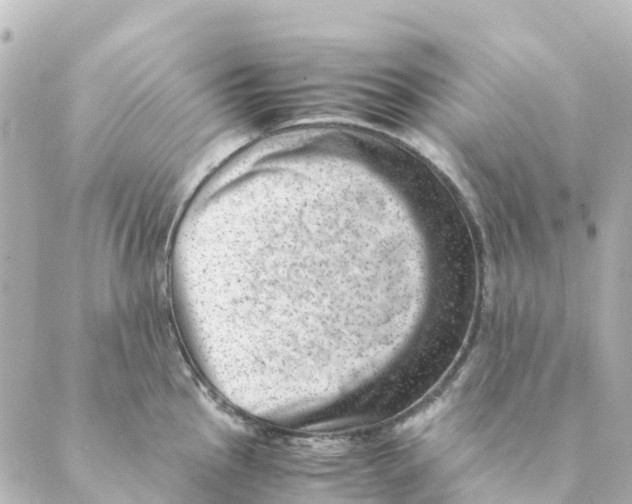 X0000088601145200706221359