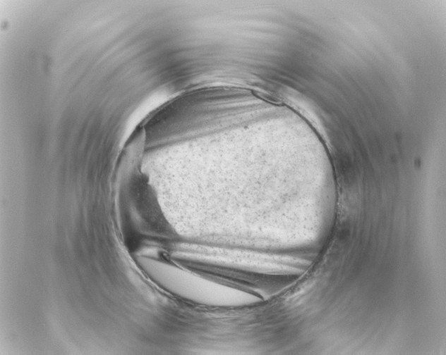 X0000088601146200706221359