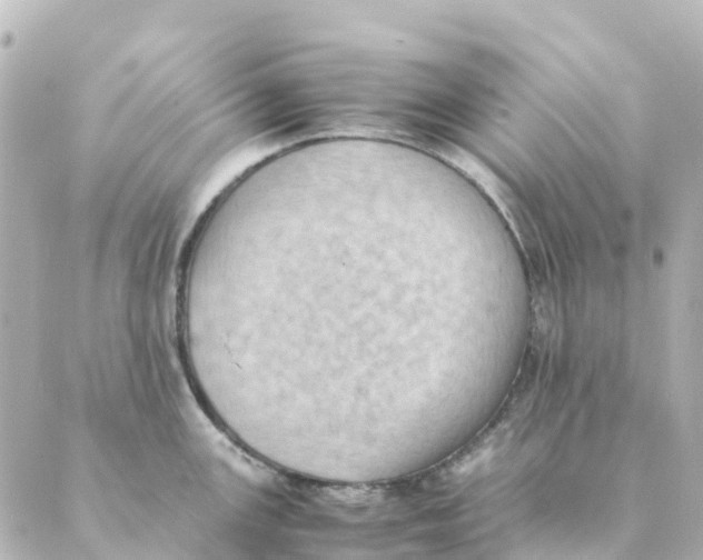 X0000088601147200706221359