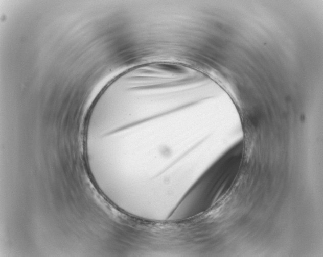 X0000088601148200706221359