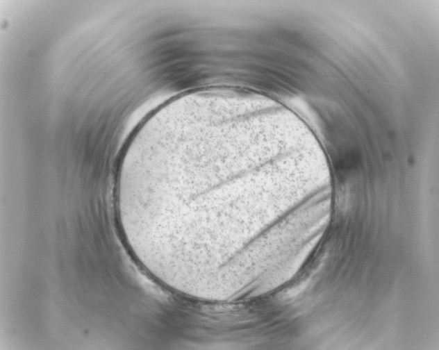 X0000088601149200706221359