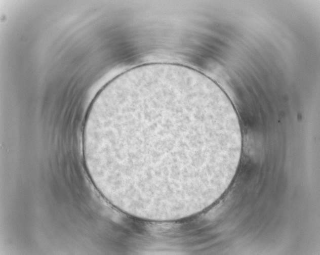 X0000088601150200706221359