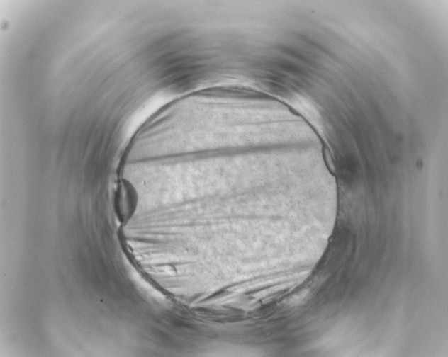 X0000088601151200706221359