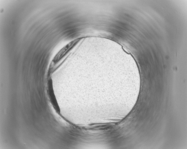 X0000088601152200706221359