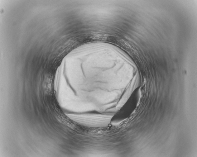 X0000088601154200706221359