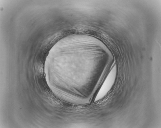 X0000088601155200706221359