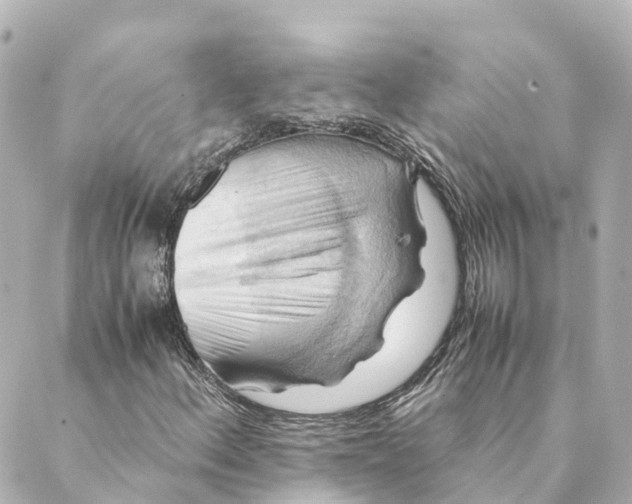 X0000088601156200706221359