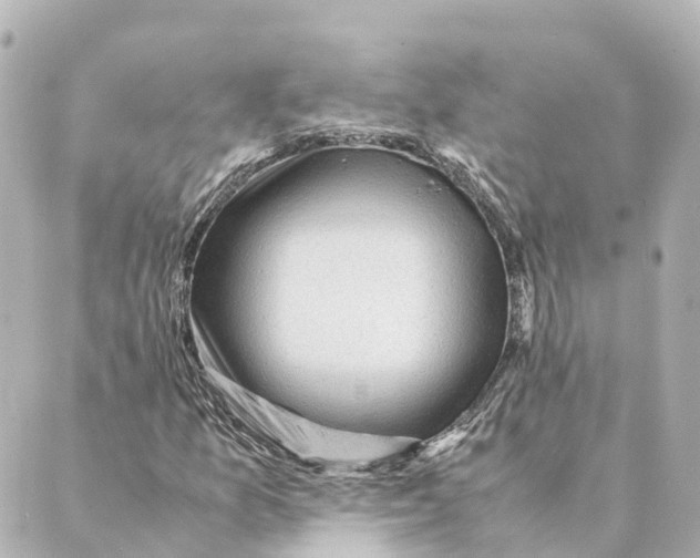 X0000088601157200706221359