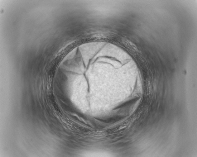 X0000088601158200706221359