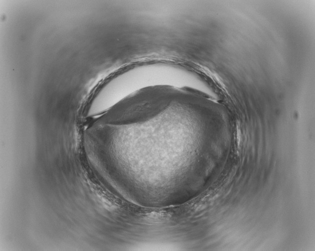 X0000088601160200706221359