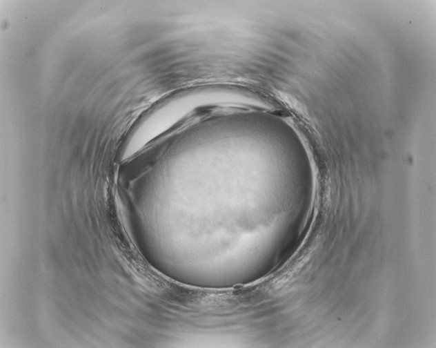 X0000088601161200706221358