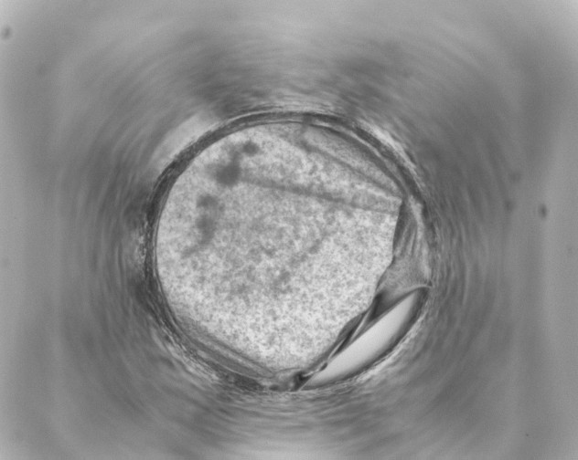 X0000088601163200706221358