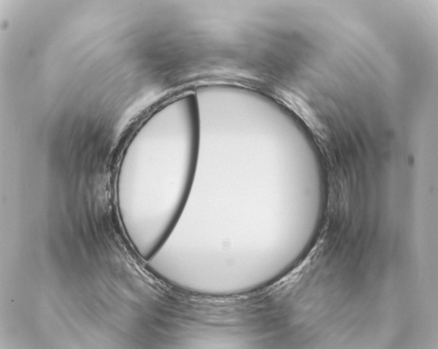 X0000088601164200706221358