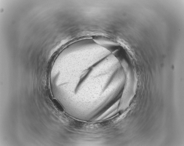 X0000088601165200706221358