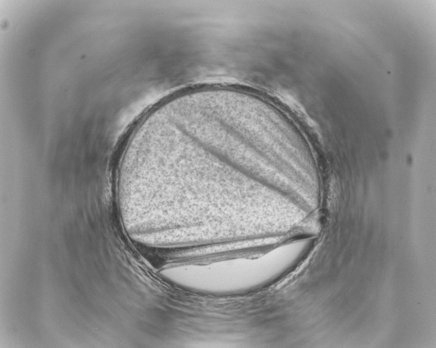 X0000088601167200706221358