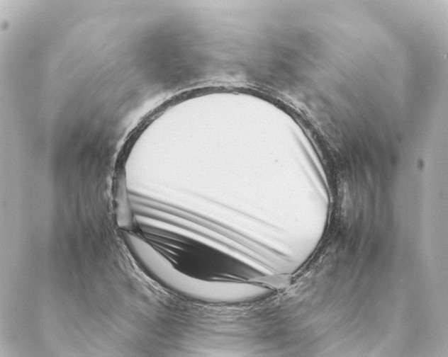 X0000088601168200706221358