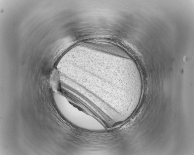 X0000088601169200706221358