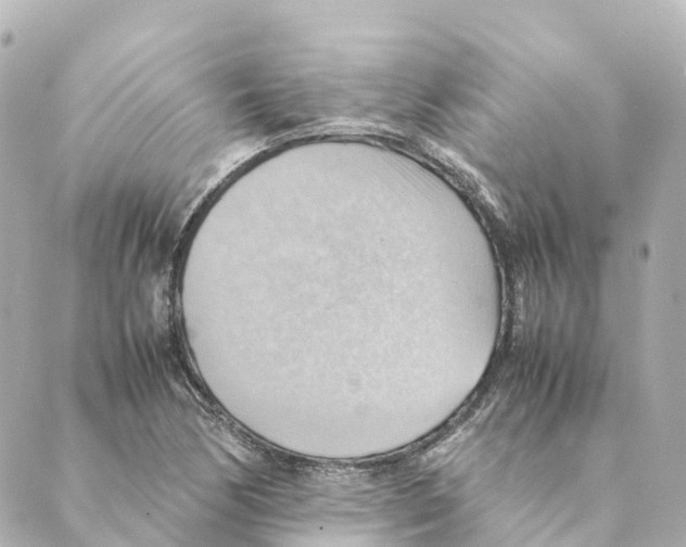 X0000088601170200706221358