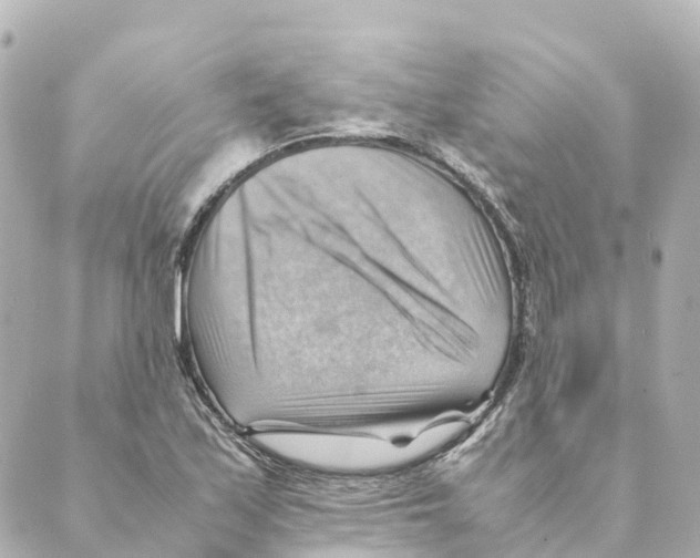 X0000088601171200706221358