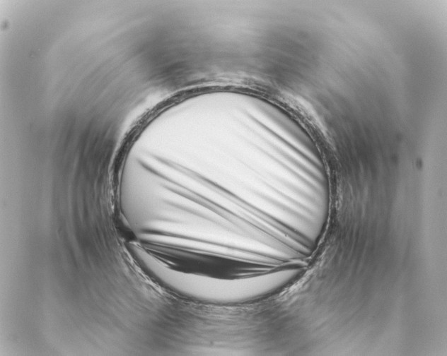 X0000088601172200706221358