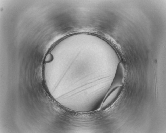 X0000088601174200706221358