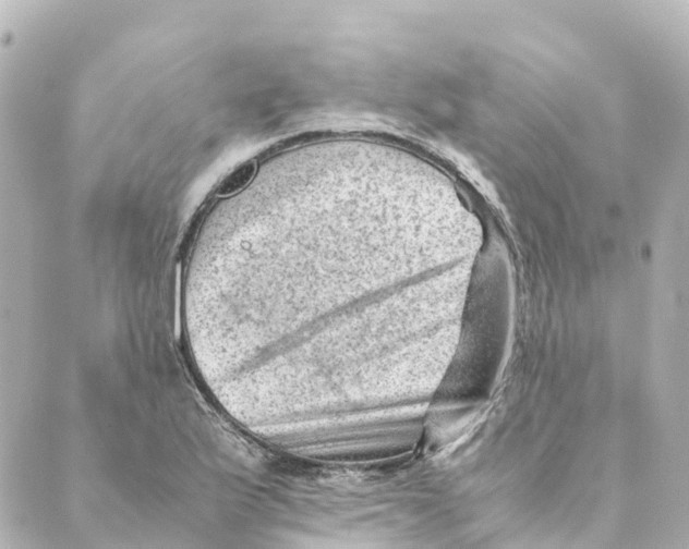 X0000088601175200706221358