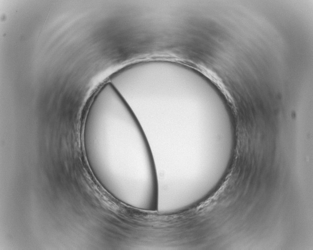 X0000088601176200706221358