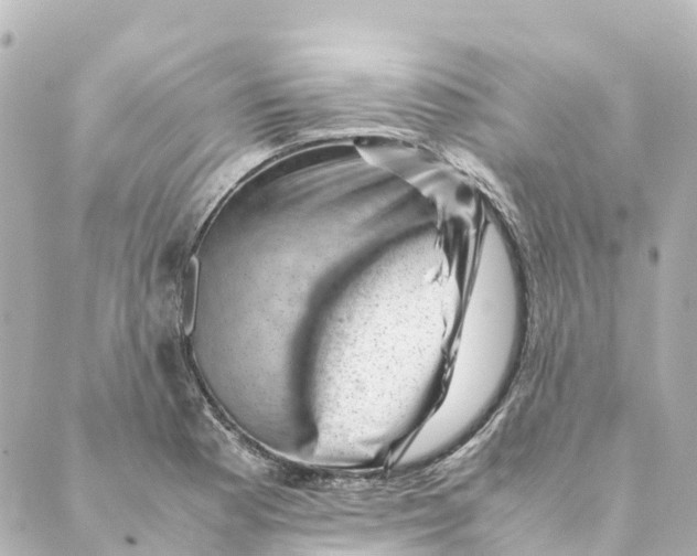 X0000088601177200706221358