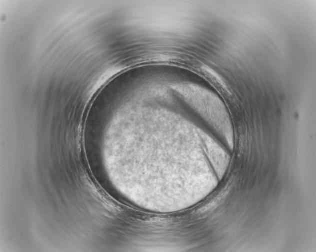 X0000088601178200706221358