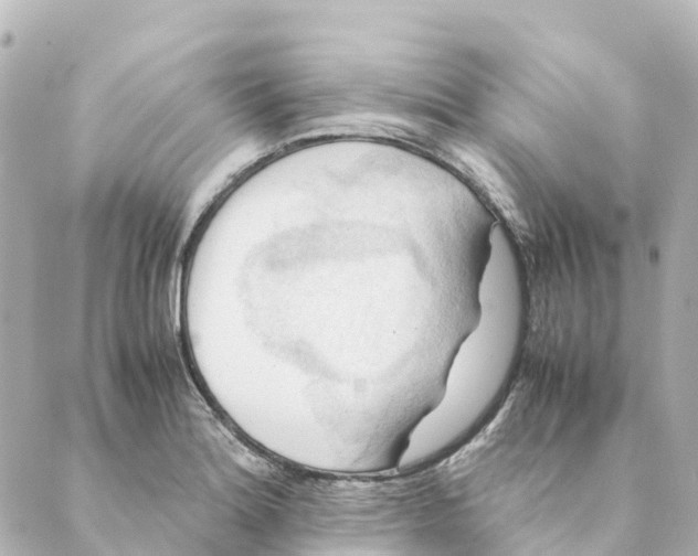 X0000088601180200706221358