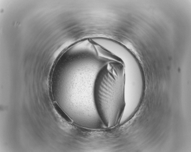 X0000088601181200706221358