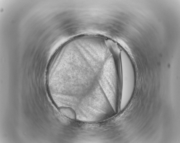 X0000088601183200706221358