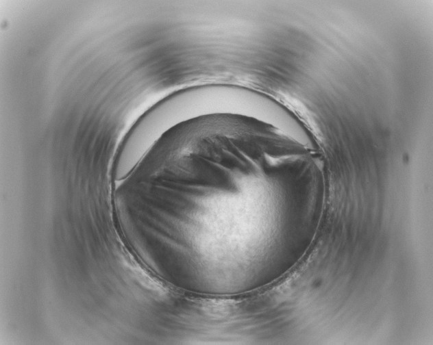 X0000088601184200706221358