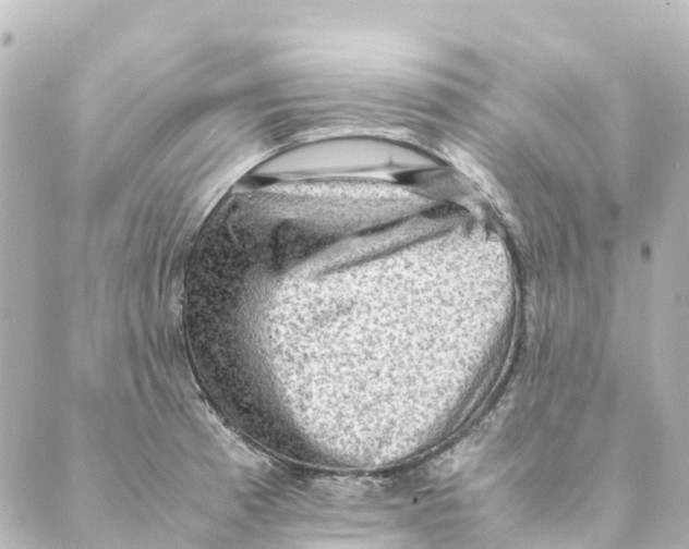 X0000088601185200706221358