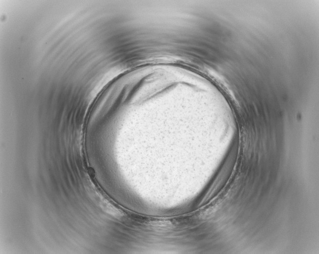 X0000088601186200706221358