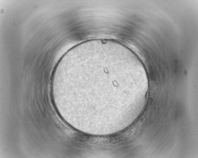 X0000088601187200706221358