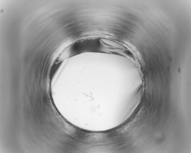 X0000088601188200706221358