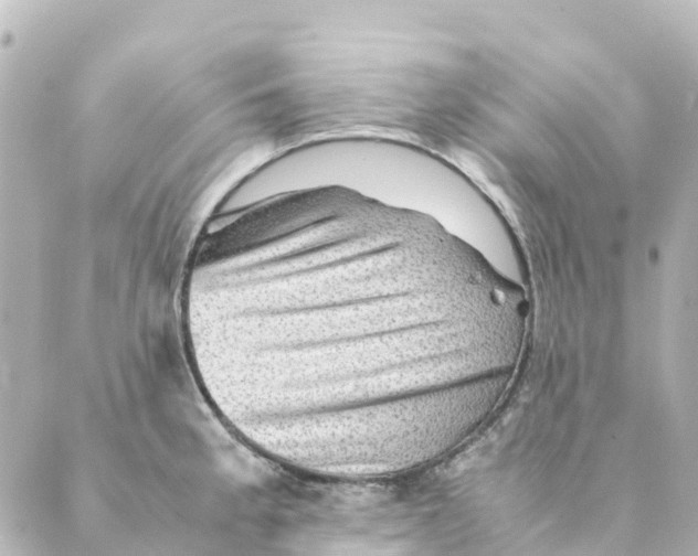 X0000088601189200706221358